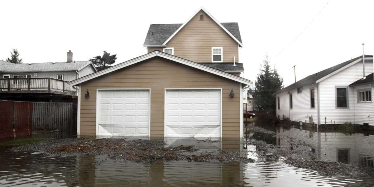 When Should You Call a Professional for Water Damage Repair?
