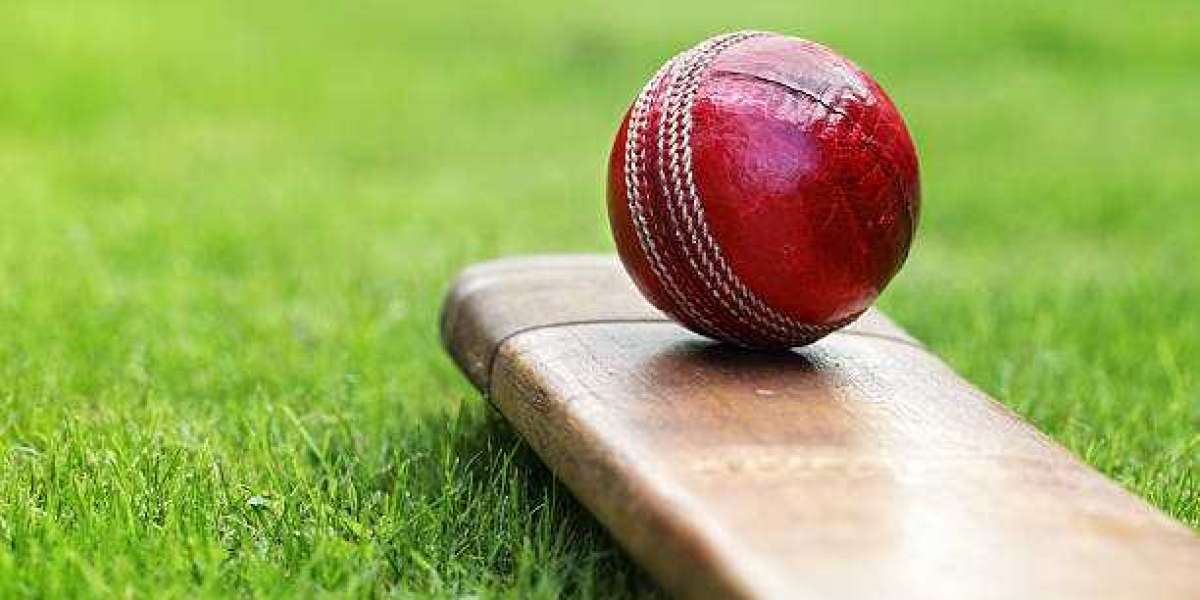 All Things Cricket, All in One Place – Explore Diamond Exchange 99 for Non-Stop Updates and Passion