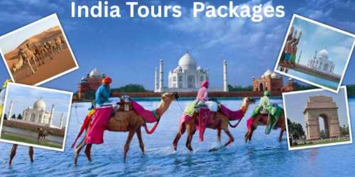 Best India Tours & Vacation Packages: Discover the magic of north India