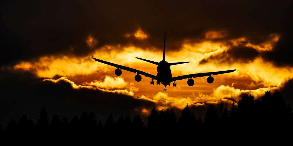 EWR Alaska Terminal +1-888-839-0502