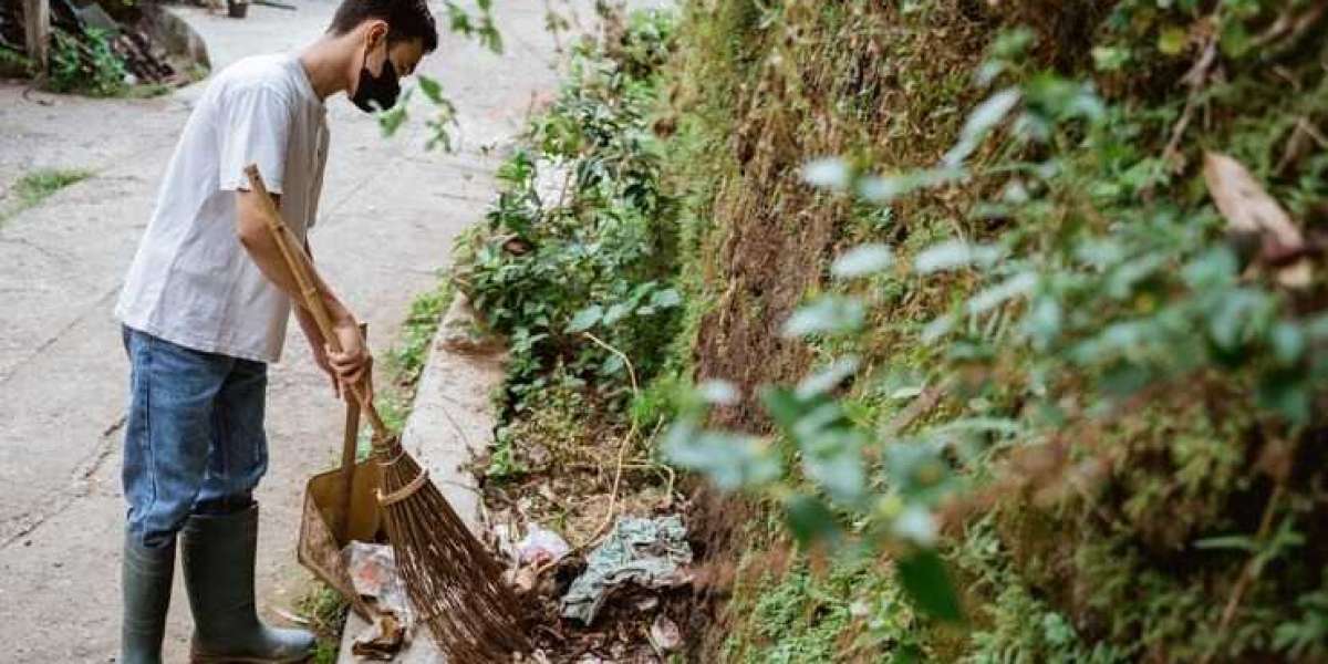 Tree Trimming Leander: Transform Your Yard Before It's Too Late
