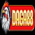 DAGA 88