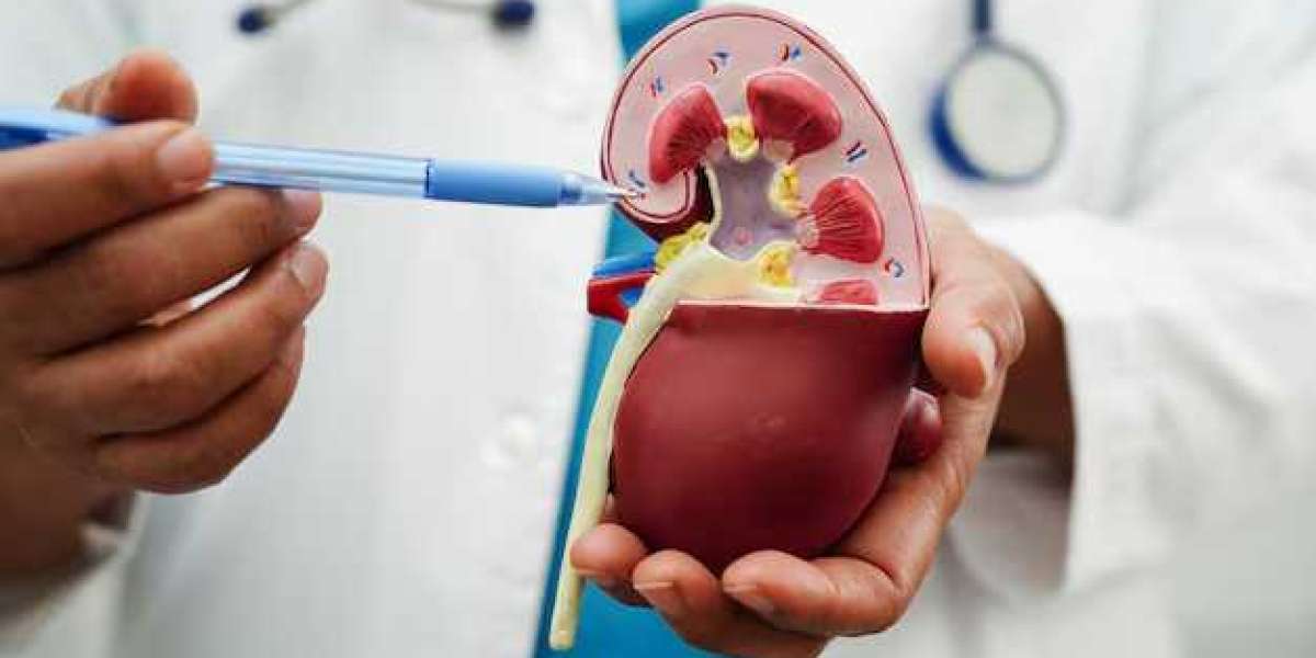 When to See a Specialist: Early Signs of Urinary Tract Disorders