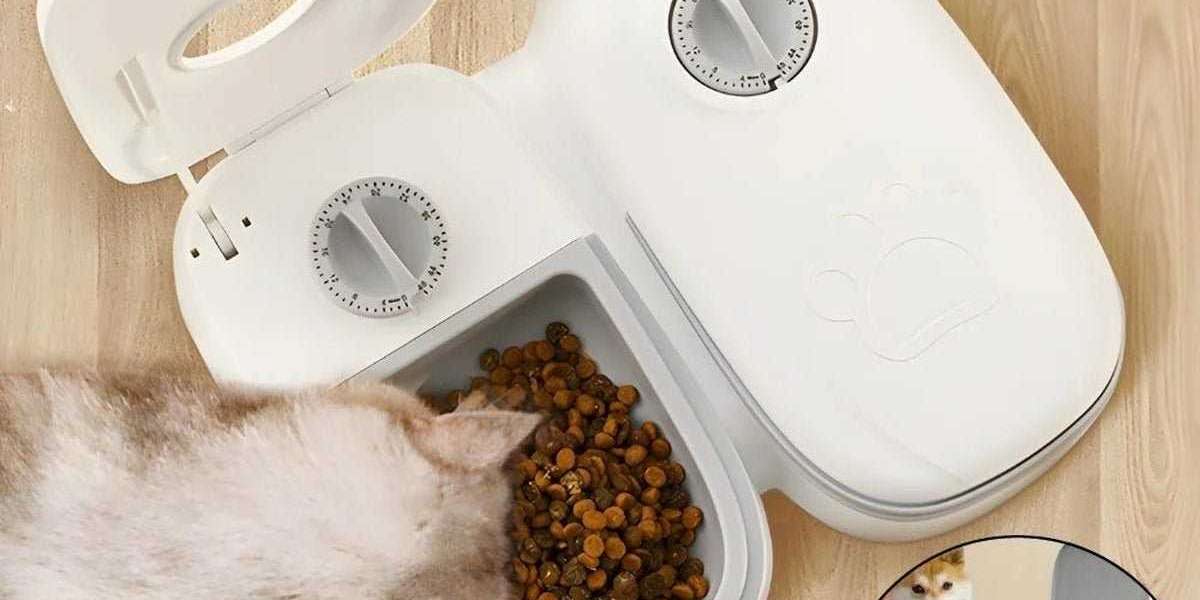 Distributeurs De Nourriture Pour Chiens : Révolution Chez CHIENALAFOLIE