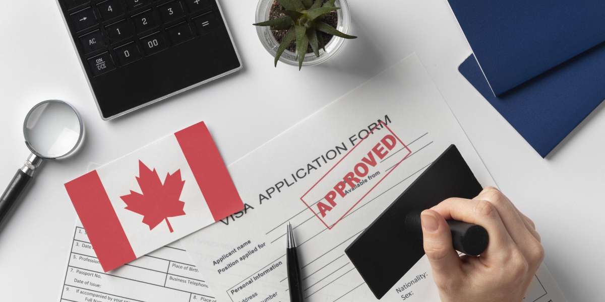 How to Check Your Canada Visa Status in India: Online Process Explained