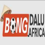 Bongdalu africa