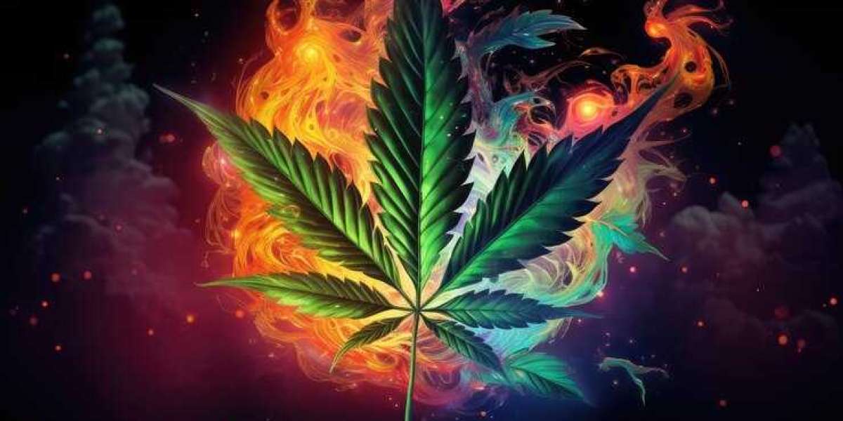 Exploring Weed Madrid: The Rise of the Weed Club Madrid Phenomenon