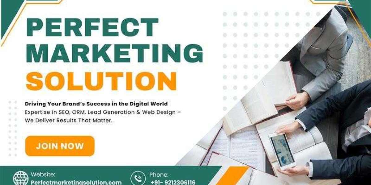Perfect Marketing Solution | Boosting U.S. Solar Sales with SEO Expertise