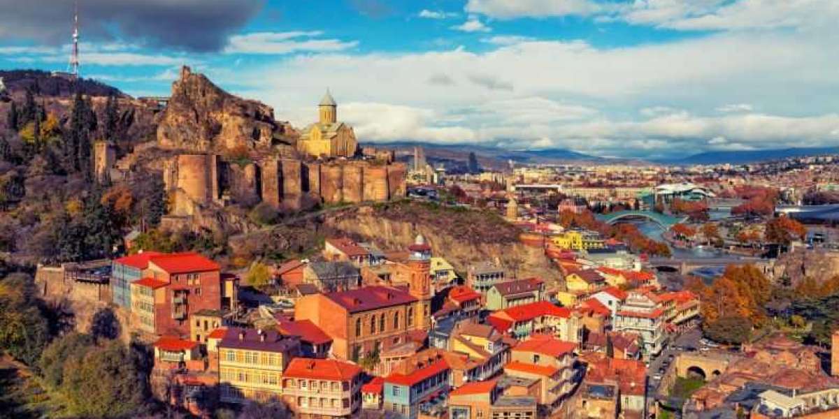Why Indian Students Should Choose MBBS in Georgia: A Detailed Guide