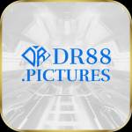 DR88 PICTURES
