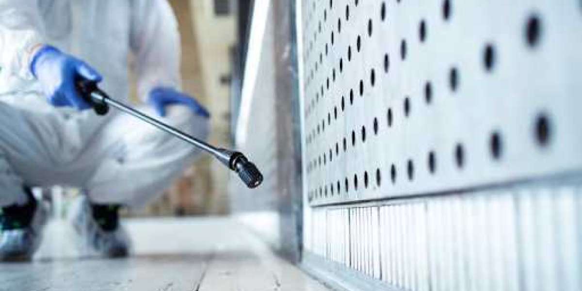 Expert Pest Control in Aurora for Homes & Businesses
