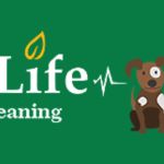 Carpet Cleaningnewli