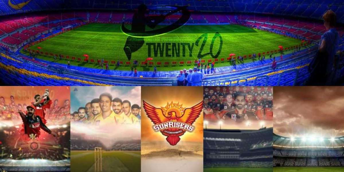 Goexch365: Your Ultimate Sports Betting Destination