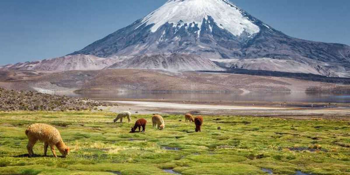 Chile’s National Parks You Can’t Miss