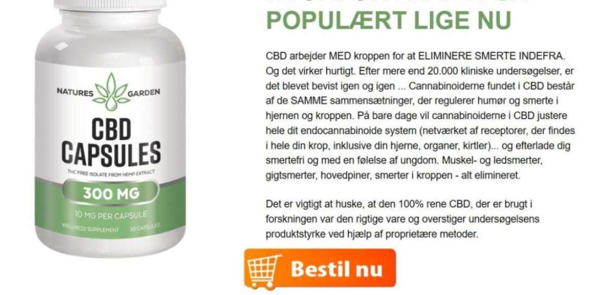 Natures Garden CBD Kapsler Anmeldelse: Sundhed fra Naturen