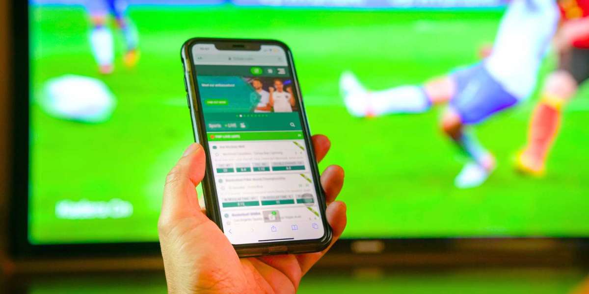 How Much Does a Sports Betting App Really Cost?