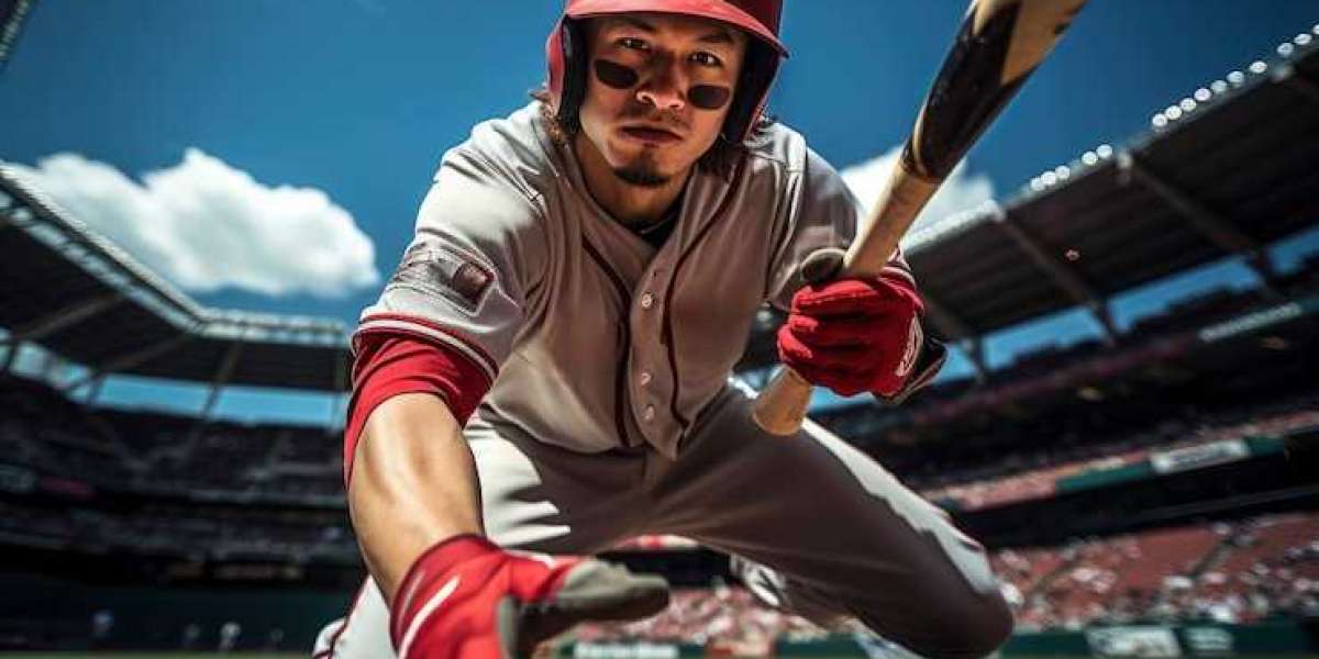 The Benefits of Using Baseball Betting Software for Your PPH Business