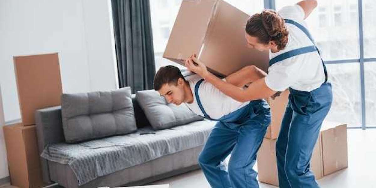 Affordable Options for Shipping to New Zealand Safely and Fast
