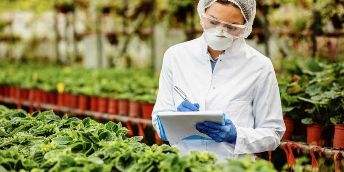 A Complete Guide to FDA Food Facility Registration and FDA Food Registration