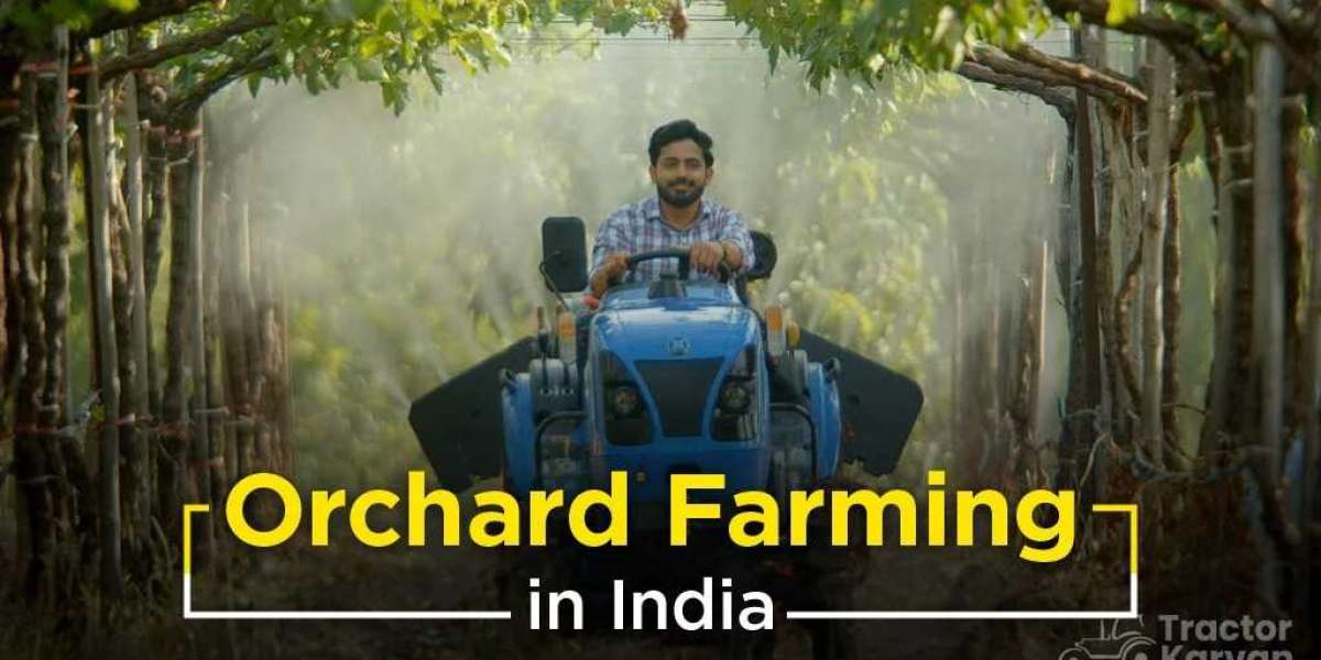 Top Orchard Farming and Management