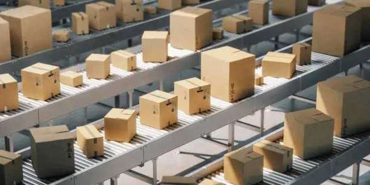 Professional Moving Services That Understand Sharjah’s Unique Needs – Only at Expert Movers and Packers