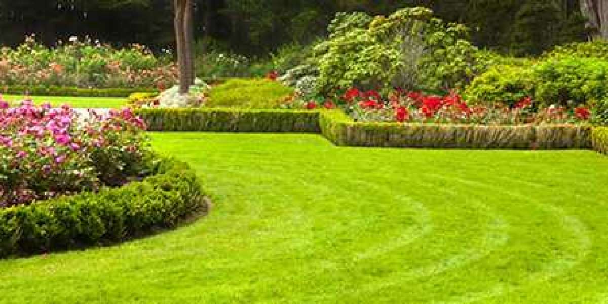 Lawn Mowing Rosebery: Professional and Affordable Service