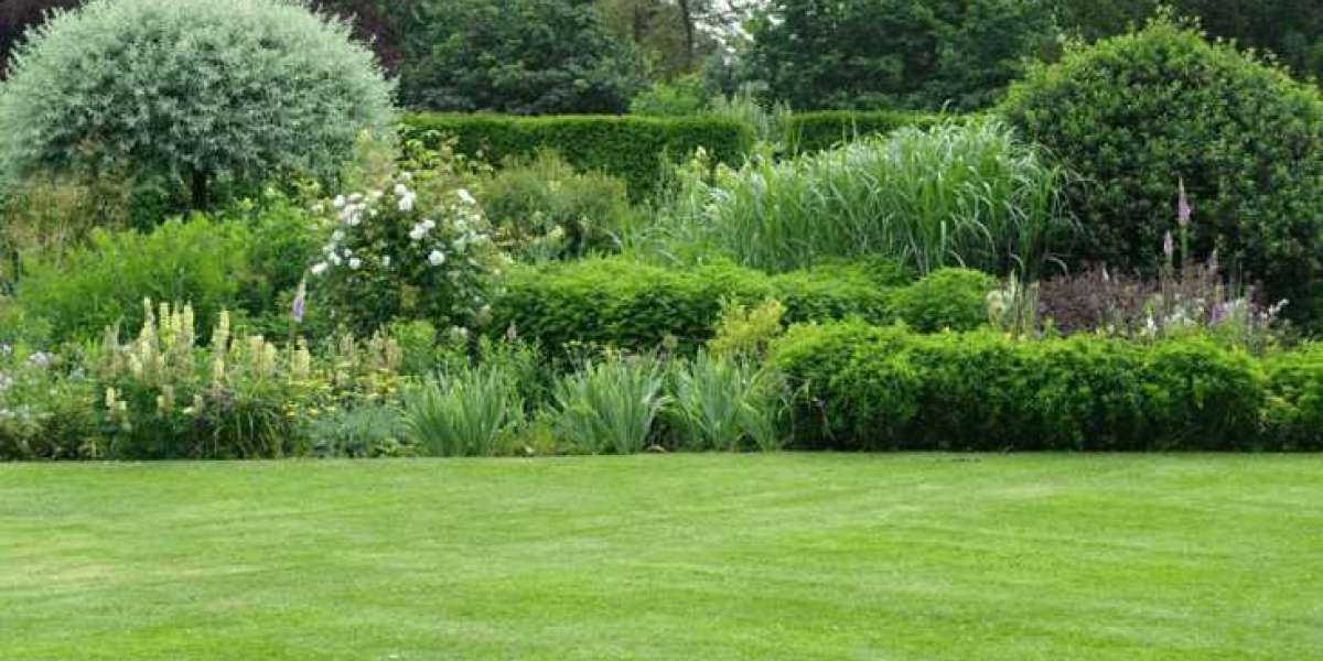 Essential Tips for Yard Maintenance in Vancouver WA