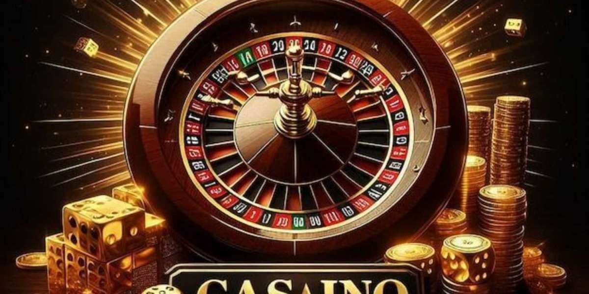 King Exchange vs. Other Platforms What Sets It Apart in Sport  Betting