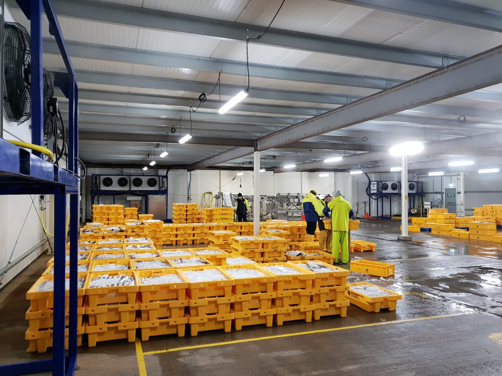 Why Consider Water Chiller Hire for Your Business Operations? – Advanced Climate Rentals