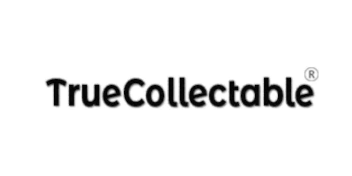 From Hobby to Heirloom: Mastering the Art of Coin and Note Collection Albums