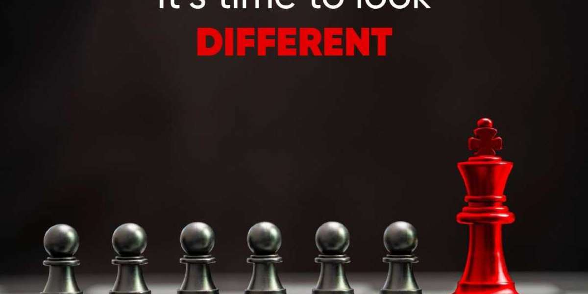 Discover the Best Software House in Pakistan for Tech & SEO Excellence