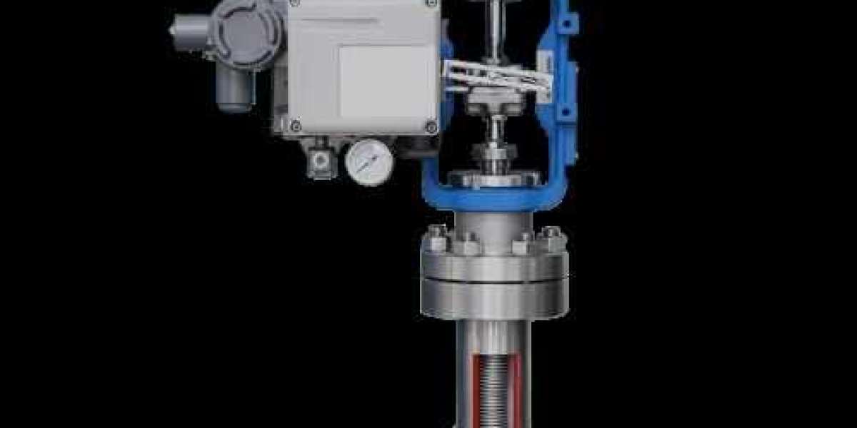 Bellows Globe Control Valve