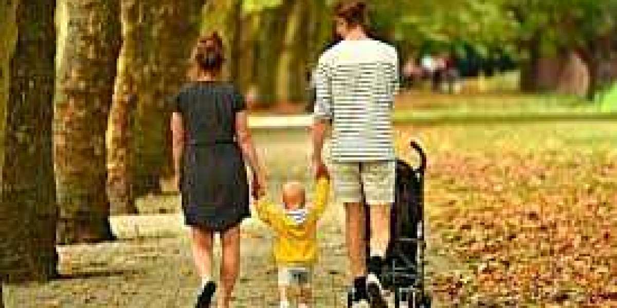 Family Visit Visa USA From Pakistan: Documents, Fees, And Interview Tips
