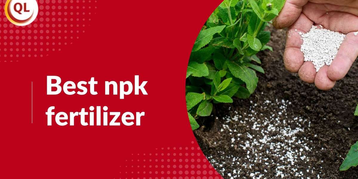 Comparing the Best NPK Fertilizer Blends for Different Soil Types
