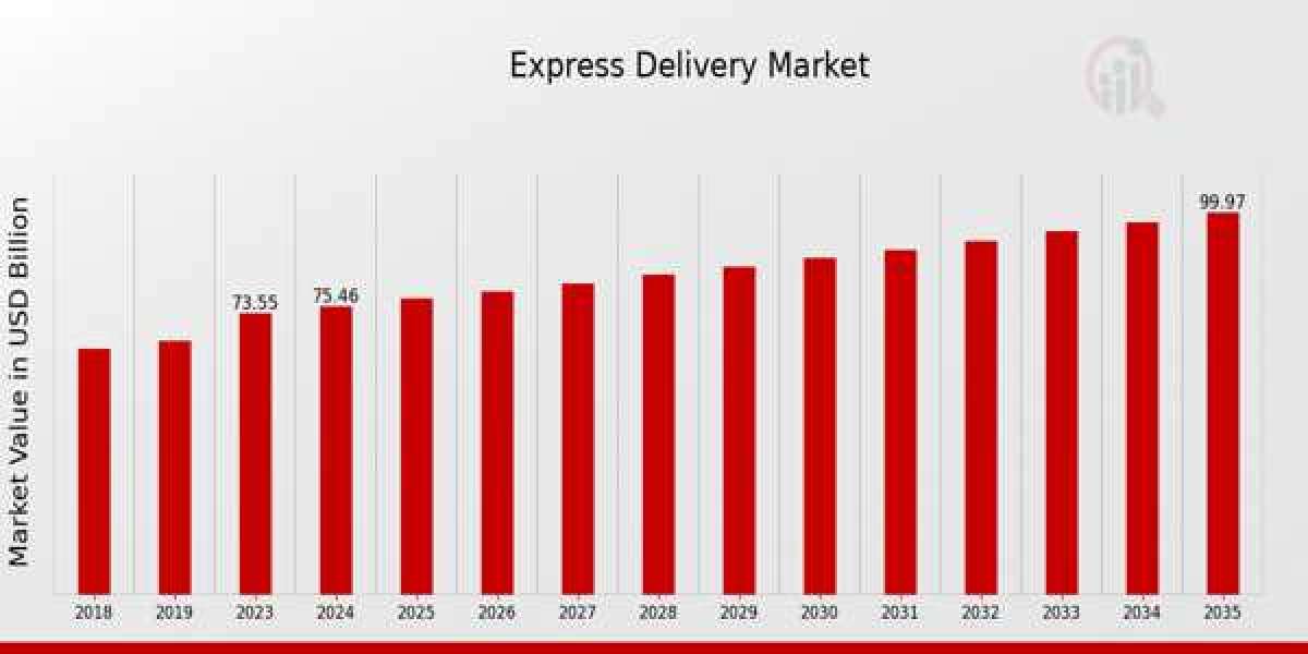 Express Delivery Market in 2025: What to Expect