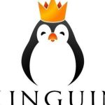 kinguin promo code