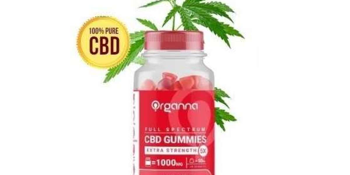 Organna CBD User Experiences: Real Results & Honest Reviews