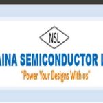 Naina Semiconductor