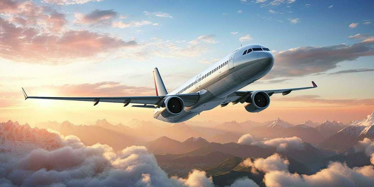 Questions You Should Ask Through American Airlines Phone Number Florida