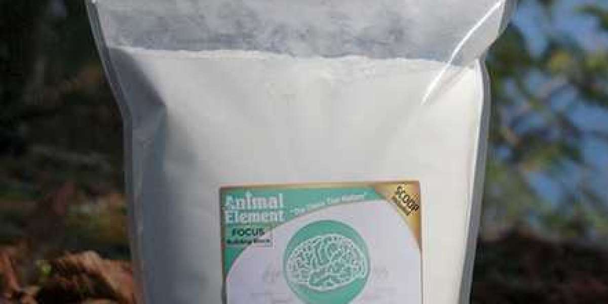 How Does Magnesium Citrate for Horses Support Muscle Repair?