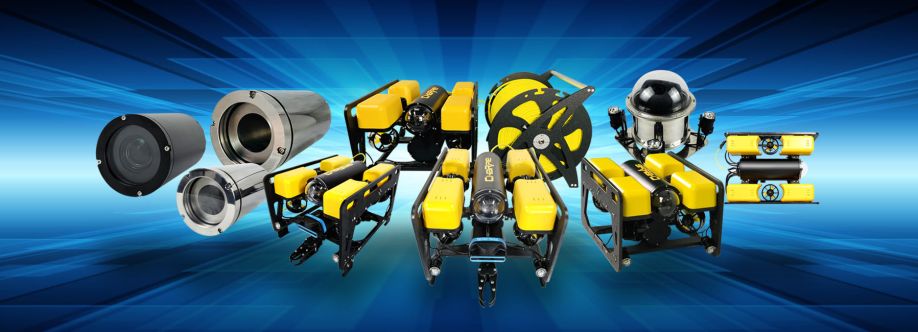 Charpie Rov Cover Image