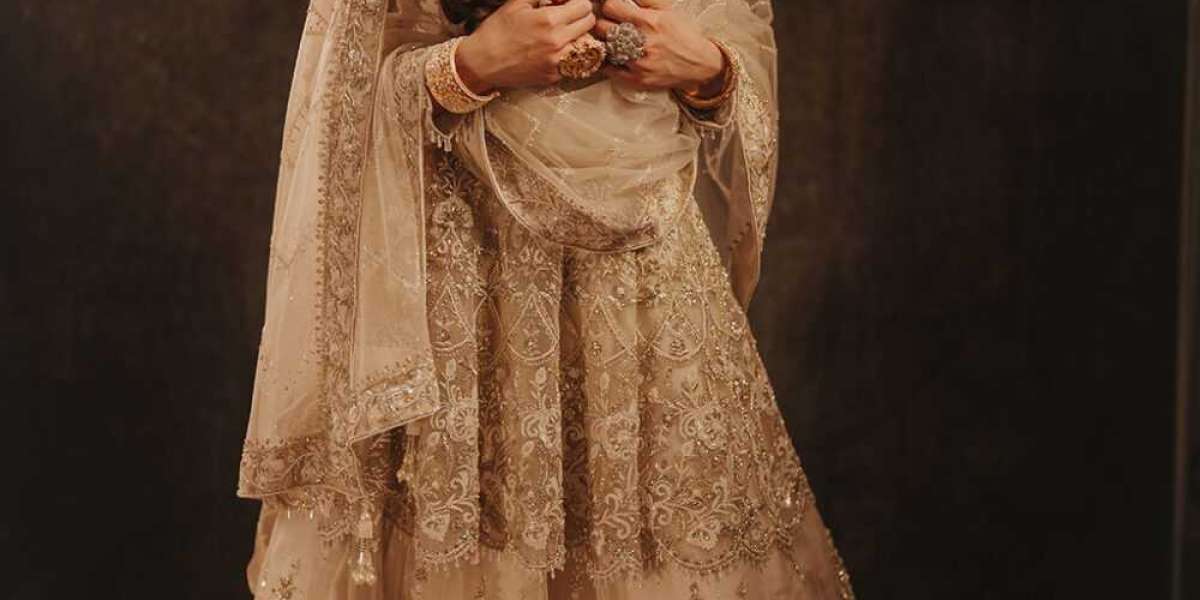 Where in the Greater Toronto Area Can I Find Real Indian Ethnic Clothing?