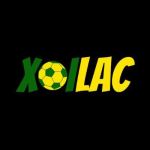 falconsgrup com lừa đảo