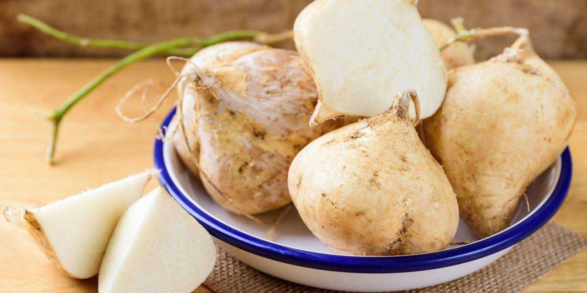 Jicama Processing Plant Setup Cost 2025: Raw Materials Requirement and Unit Setup