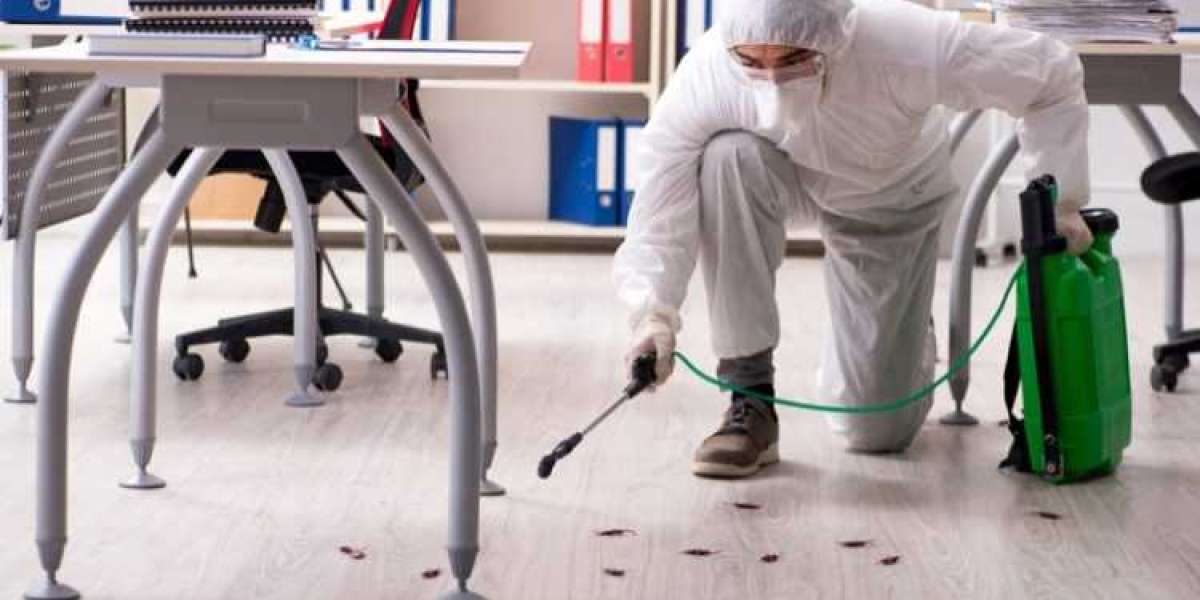 Landlord Pest Control Services: Essential Solutions for Property Management