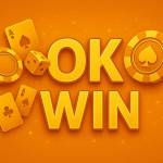 Okwin game