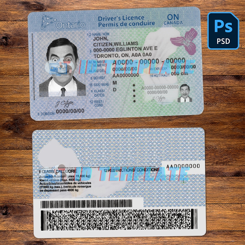 Ontario Driving license PSD Template | Driving license Template