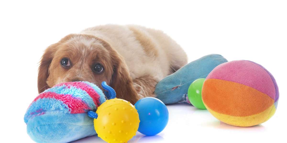 Top 5 Indestructible Dog Toys for Heavy Chewers