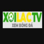 agil8 com fake
