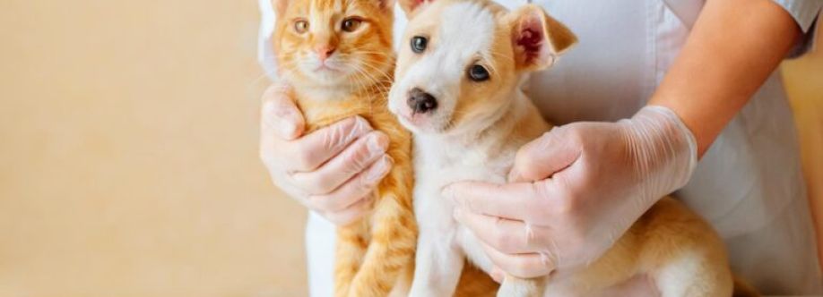 Black Mountain Animal Hospital Cover Image